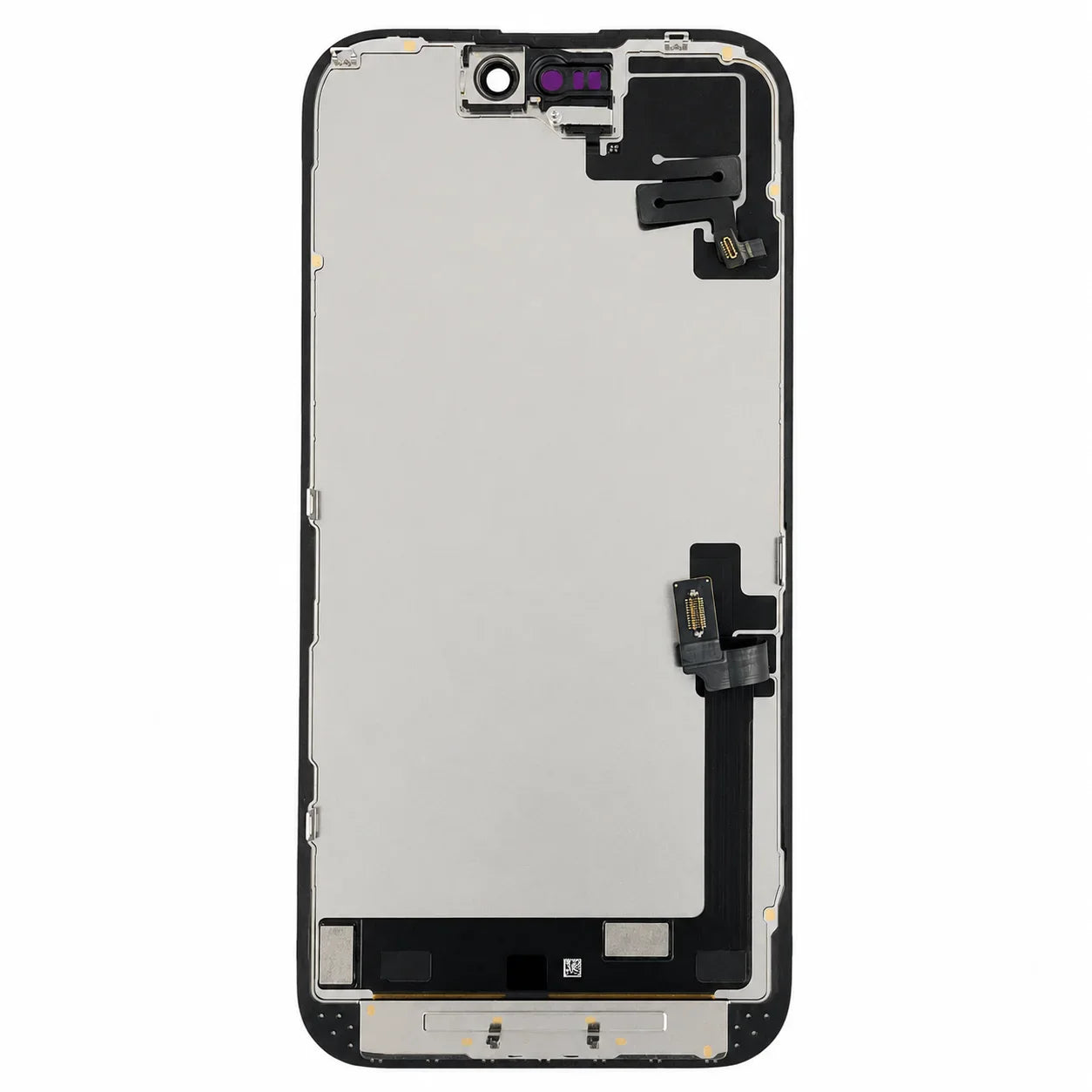 iphone-16-oled-pulled-scherm-display-1