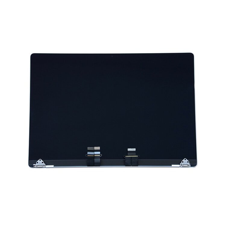 Retina display / scherm Zilver voor Apple MacBook Pro Retina 16-inch A2485