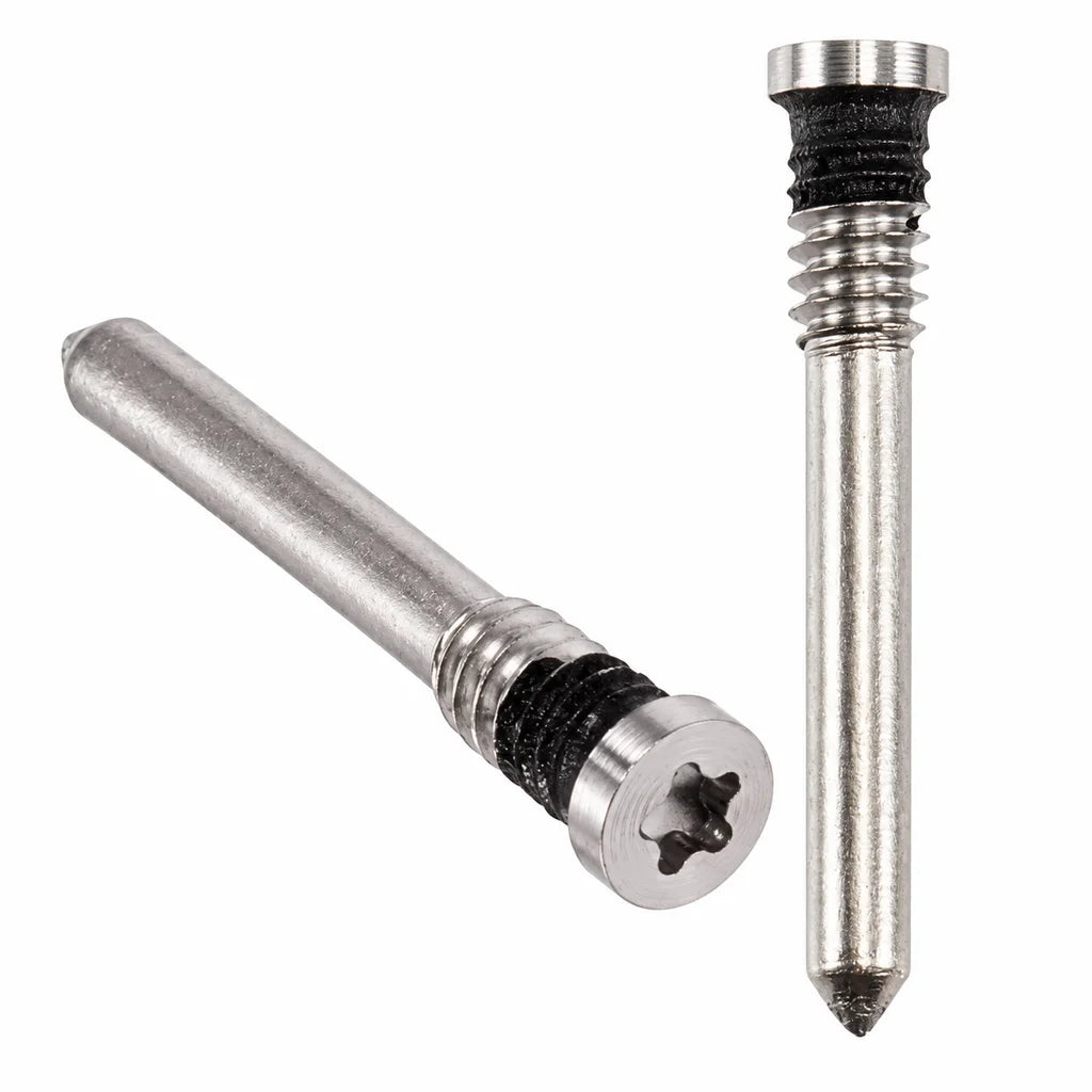 Bottom-schroeven zilver voor iPhone X t/m 16 (set van 2)