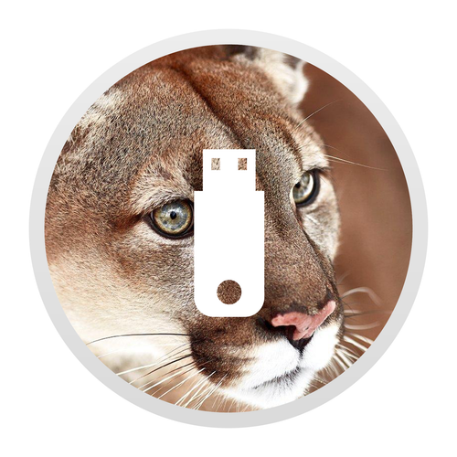 Installatie USB- (C) en USB-A stick met MacOSX Mountain Lion (10.8)